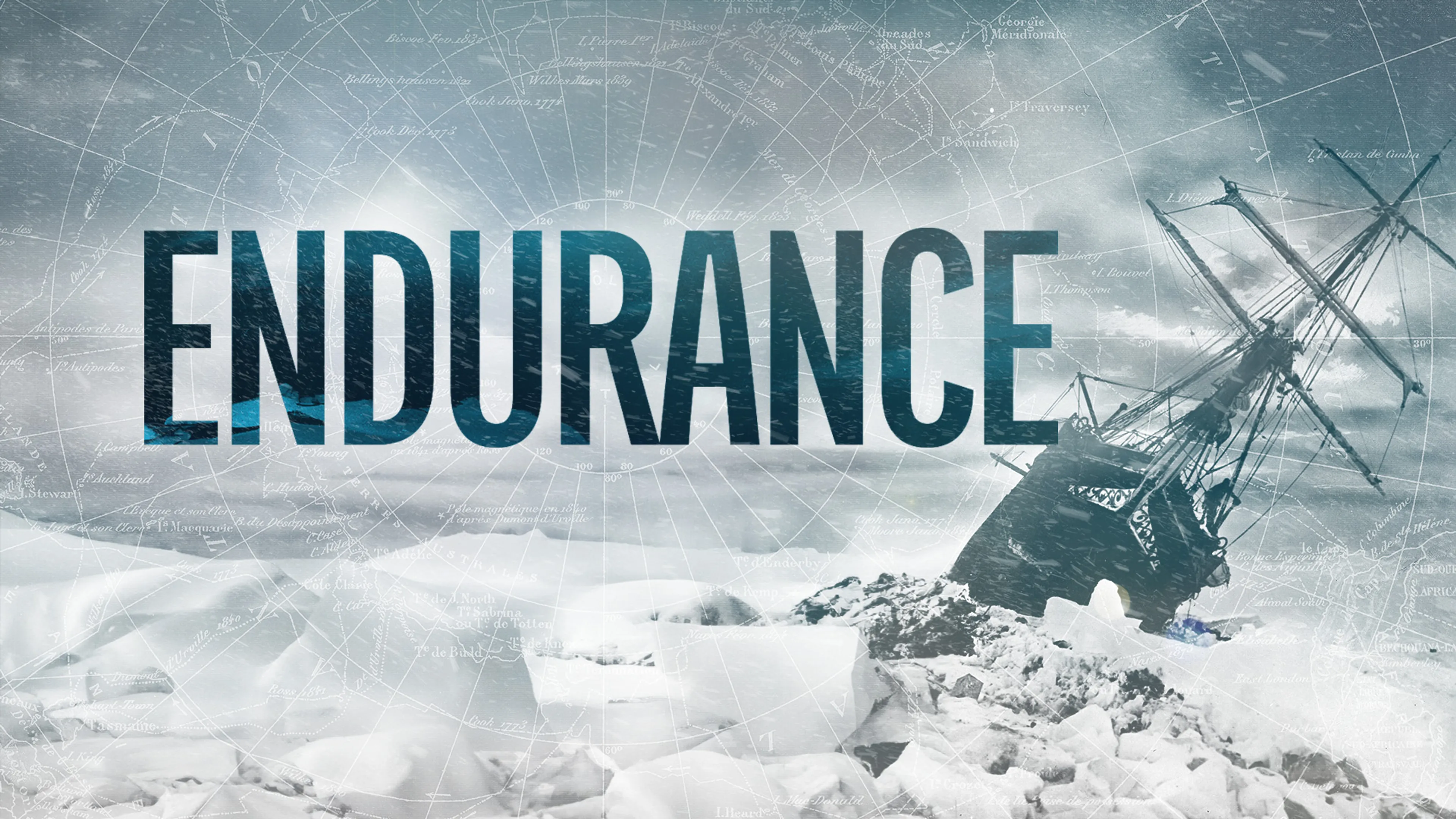 Endurance poster